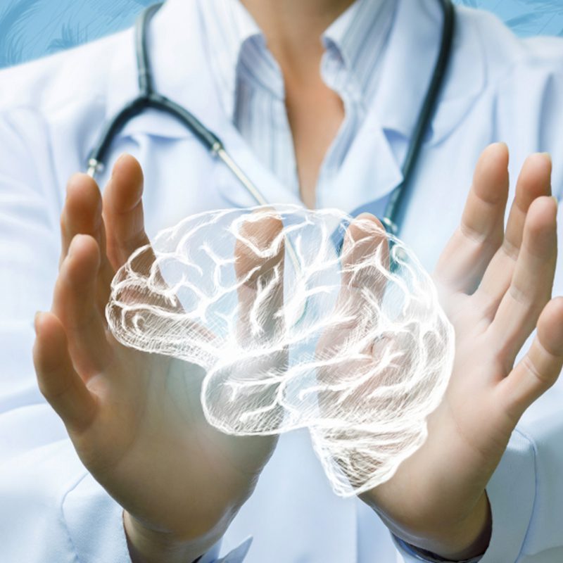 doctor holding a 3d model brain